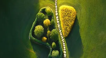 Arial view of stone path through a grassy field